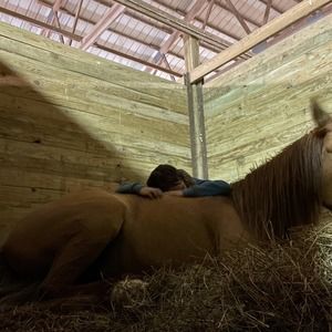 Meet your Posher, Kylee